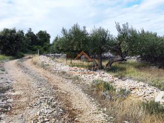 Poljoprivredno zemljiste, Prodaja, Supetar, Skrip