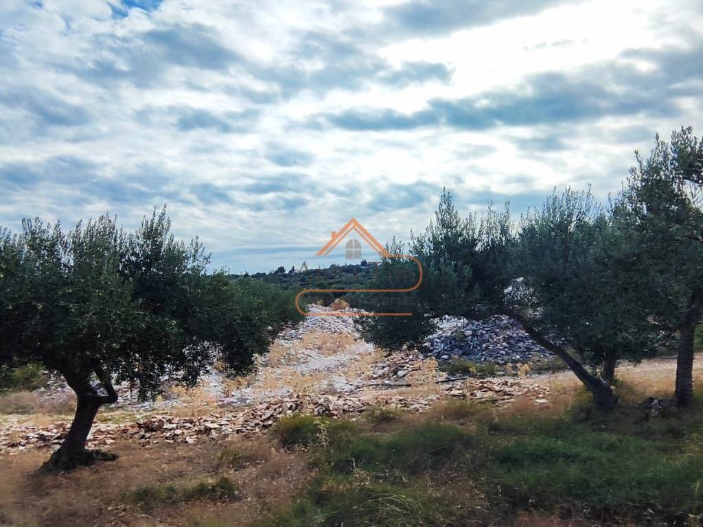 Poljoprivredno zemljiste, Prodaja, Supetar, Skrip