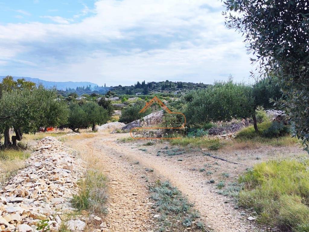 Poljoprivredno zemljiste, Prodaja, Supetar, Skrip