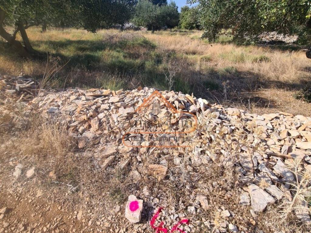 Poljoprivredno zemljiste, Prodaja, Supetar, Skrip