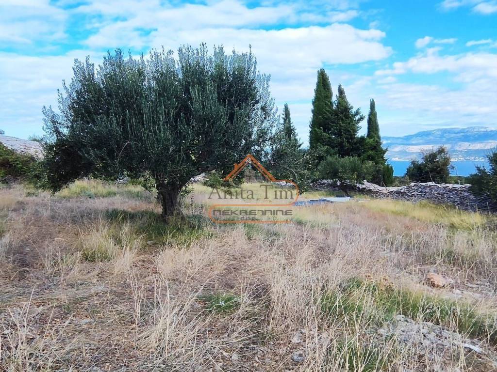 Poljoprivredno zemljiste, Prodaja, Supetar, Skrip
