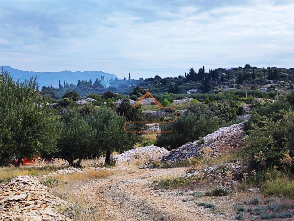 Poljoprivredno zemljiste, Prodaja, Supetar, Skrip