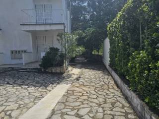 Starigrad, Starigrad