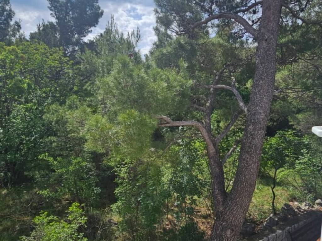 Starigrad, Starigrad