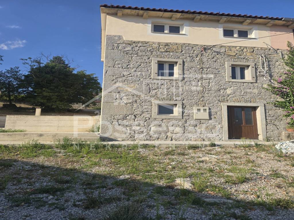 Buzet, Buzet