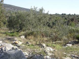 Detached house, Sale, Trogir - Okolica, Drvenik Veliki