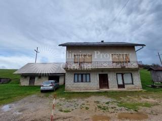 Family house, Sale, Krnjak, Krnjak