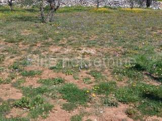Plot for construction, Sale, Marčana, Divšići