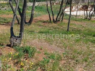 Plot for construction, Sale, Marčana, Divšići