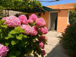 Razanac, Ljubac