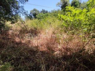 Plot for construction, Sale, Marčana, Pavićini