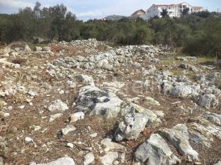 Land, Sale, Marina