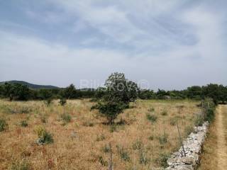 Agricultural plot, Sale, Nerežišća, Nerežišća