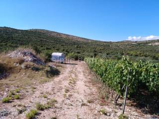 Agricultural plot, Sale, Marina, Marina