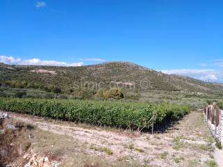 Agricultural plot, Sale, Marina, Marina