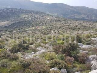 Poljoprivredno zemljište, Prodaja, Marina, Marina