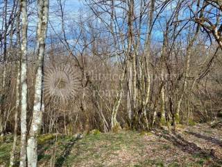 Plot for construction, Sale, Slunj, Slunj
