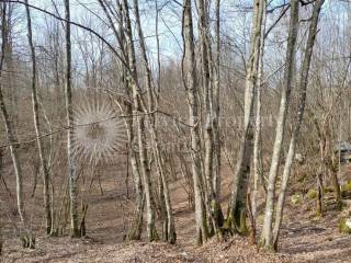 Plot for construction, Sale, Slunj, Slunj