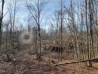 Plot for construction, Sale, Slunj, Slunj