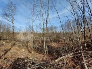 Plot for construction, Sale, Slunj, Slunj