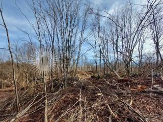 Plot for construction, Sale, Slunj, Slunj