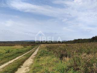 Agricultural plot, Sale, Sveti Ivan Zelina, Blaškovec