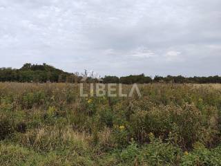 Agricultural plot, Sale, Sveti Ivan Zelina, Blaškovec