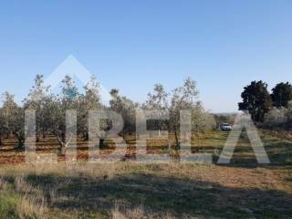 Agricultural plot, Sale, Fažana, Fažana