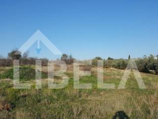 Agricultural plot, Sale, Fažana, Fažana