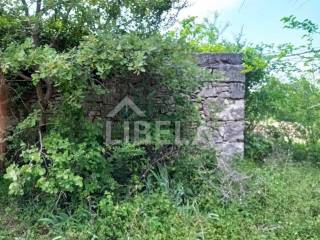 Agricultural plot, Sale, Vodnjan, Vodnjan