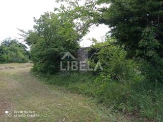 Agricultural plot, Sale, Vodnjan, Vodnjan