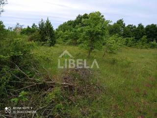 Agricultural plot, Sale, Tinjan, Tinjan