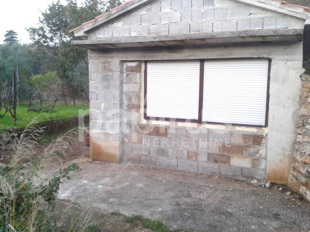 Sali, Dragove