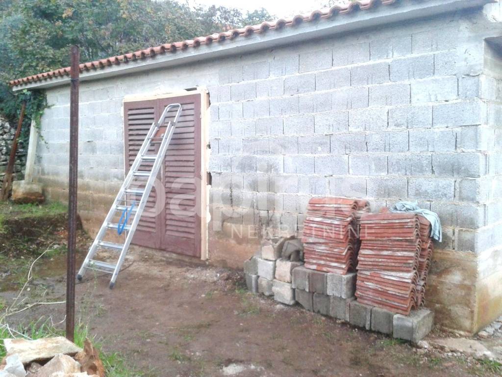 Sali, Dragove