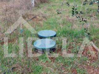 Agricultural plot, Sale, Medulin, Medulin