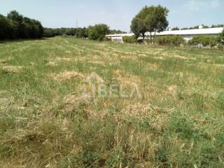 Agricultural plot, Sale, Barban, Barban