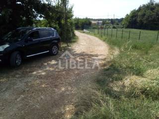 Agricultural plot, Sale, Barban, Barban