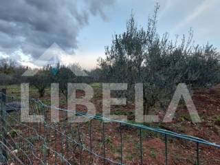 Agricultural plot, Sale, Medulin, Medulin