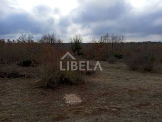 Plot for construction, Sale, Vodnjan, Vodnjan