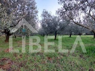 Agricultural plot, Sale, Medulin, Medulin