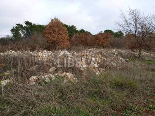 Plot for construction, Sale, Vodnjan, Vodnjan