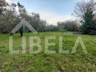 Agricultural plot, Sale, Medulin, Medulin