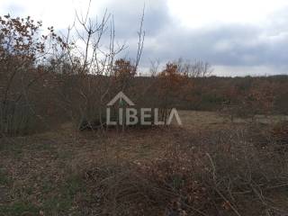 Plot for construction, Sale, Vodnjan, Vodnjan