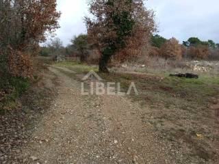 Plot for construction, Sale, Vodnjan, Vodnjan
