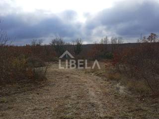 Plot for construction, Sale, Vodnjan, Vodnjan
