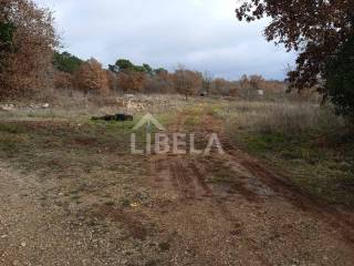 Plot for construction, Sale, Vodnjan, Vodnjan