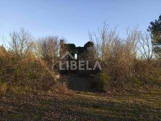 Stone house, Sale, Vodnjan, Vodnjan