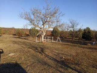 Stone house, Sale, Vodnjan, Vodnjan