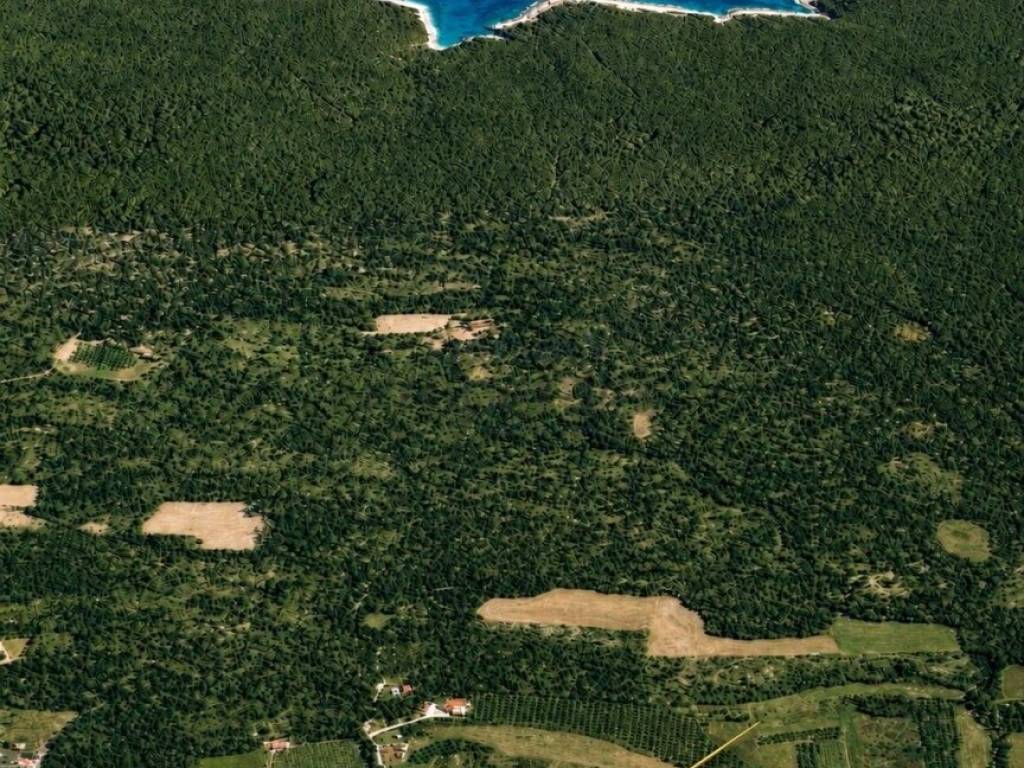 Liznjan, Valtura