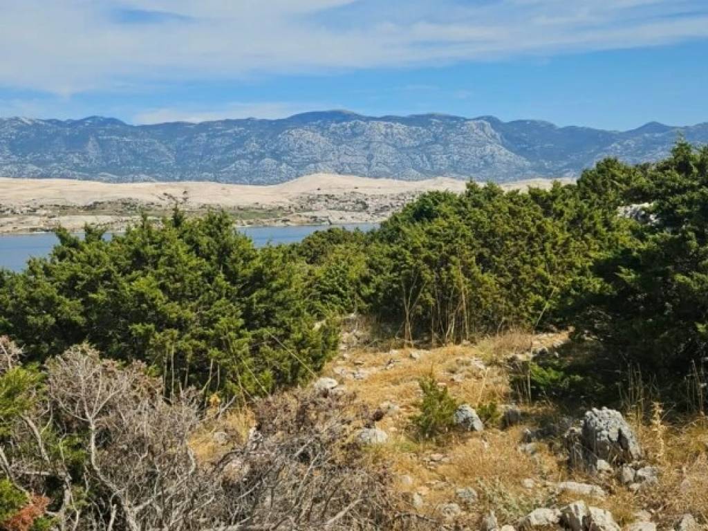 Pag, Pag